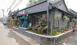 2025年皮蛋黑点官方最新爆料,全新爆料解读